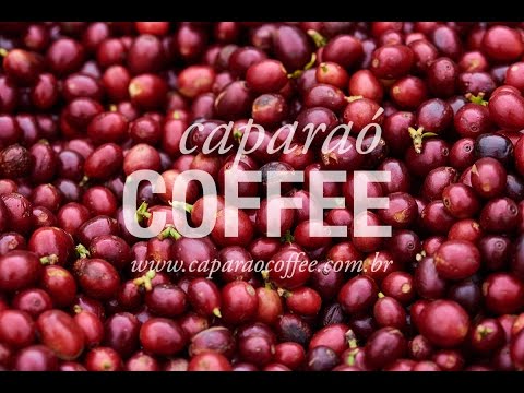 Coffee of the Year 2016