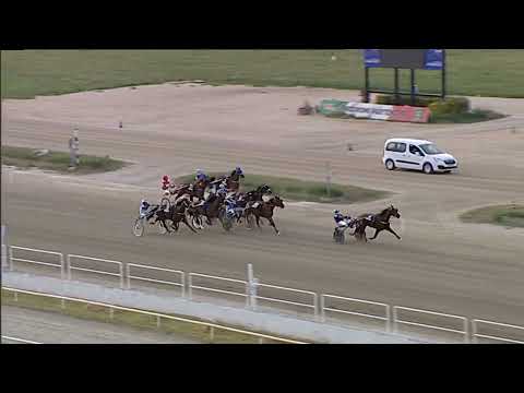 Napoli Trotto 08/09/2023 - 7ª corsa