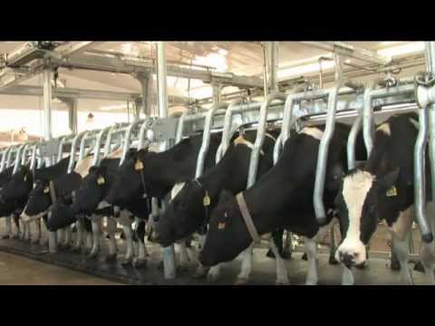 GEA Farm Technologies - Magnum 90i VL