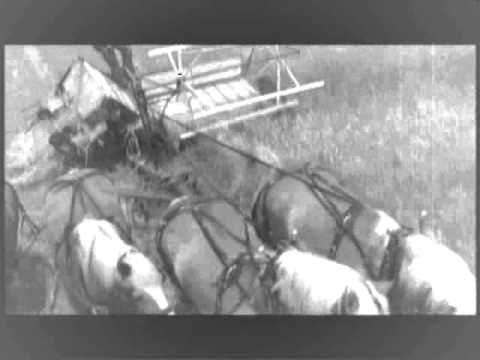 Wheat Cutting by Horse