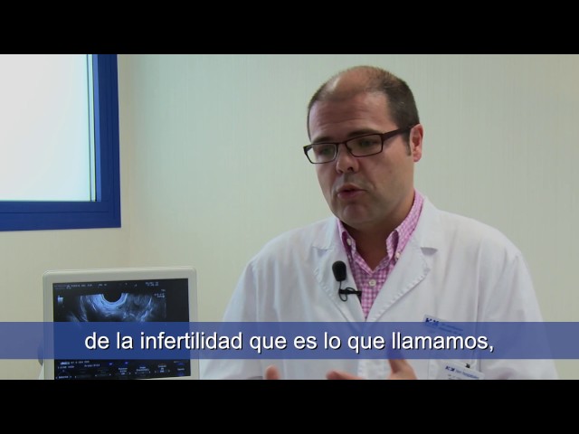 ¿Cuándo ir a una clínica de reproducción asistida y cuál es el procedimiento? - Oscar Collado Ramos