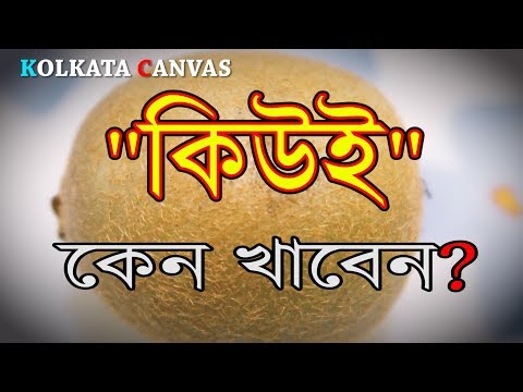 download lagu mp3 mp4 Kiwi Fruit In Bengali, download mp3 Kiwi Fruit In Bengali free download mp3, download mp3 Kiwi Fruit In Bengali