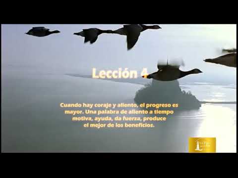 Mensajes de Inspiración - "EL VUELO DE LOS GANSOS"