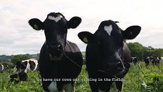 Yeo Valley Why Choose Organic - Let's Dig Into The Detail