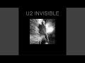 Invisible RED Edit