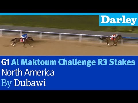 North America by Dubawi wins the G1 Al Maktoum Challenge R3 Stakes at Meydan
