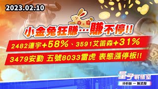 【量子戰情室】#陳武傑 0210 小金兔狂賺…賺不停!! 2482連宇+58%、3591艾笛森 +31% 3479安勤 五號8033雷虎 表態漲停板!! (圖)