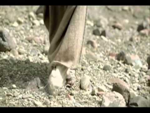 blessed are those who've never seen carroll roberson