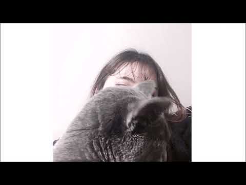 Lypla (리플라) - lucid (Feat. acacy)