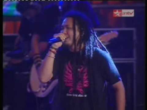 steve and the coconutz tree - tersenyum lagi live