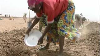 FAO in Action: Food Crisis in Niger