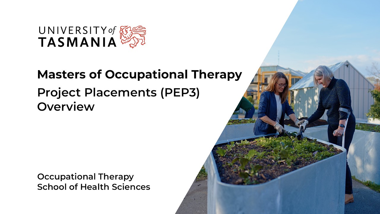 Masters of Occupational Therapy, Professional Experience Placement Overview
