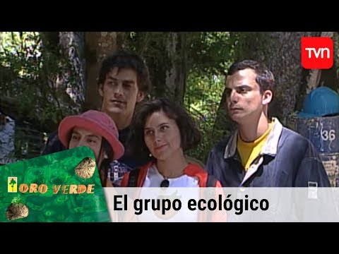 El grupo ecológico | Oro verde - T1E3
