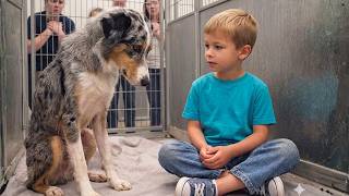 A Boy Who Hadn't Spoken Since the Fire Found the One Dog No One Wanted