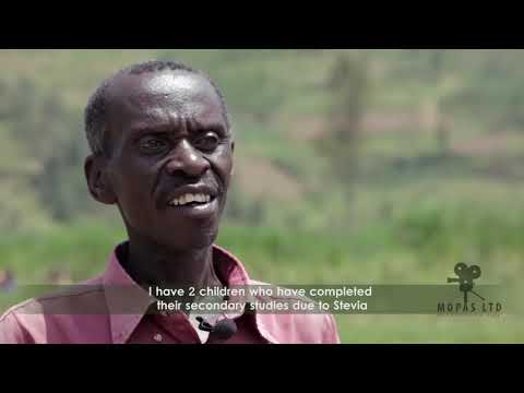 STEVIA SWEETENER Documentary Film