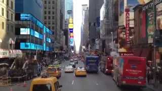 Nature in New York City - Plants are Cool, Too! Episode 7