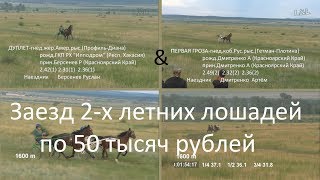 Русская кобыла против американского жеребца. Бега по 50 тысяч