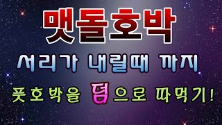 [텃밭농부.731]  맷돌호박 키우면서 풋호박은 덤으로! #맷돌호박재배