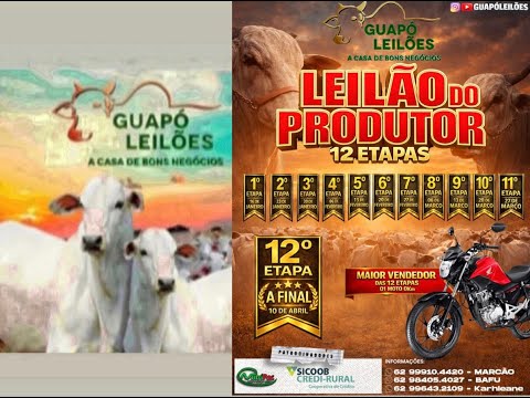 LEILÃO DE GADO EM GUAPÓ - GOIÁS 16/01/2026