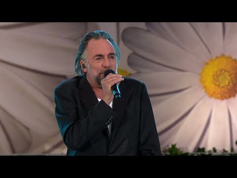 download lagu mp3 mp4 Det Sitter En Pojke P Mnen, download lagu Det Sitter En Pojke P Mnen gratis, unduh video klip Det Sitter En Pojke P Mnen