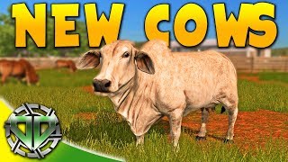 New Cows : Estancia Lapacho : Farming Simulator 17 Platinum (PC)
