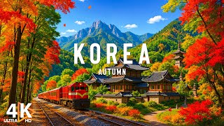 Autumn in South Korea 4K 🍂 Seoul Palaces Maple-Covered Mountains Tranquil Han River Views - VIDEO 4K