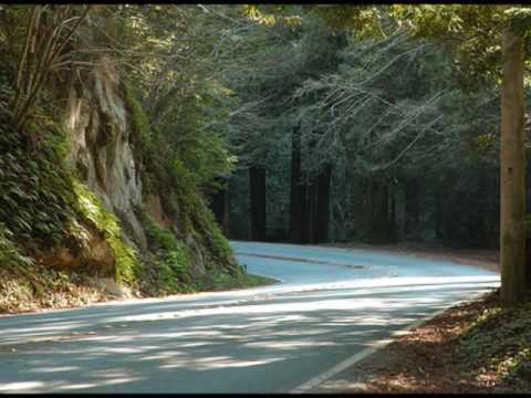 Lovely to See You - The Moody Blues