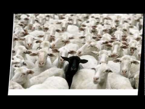 Zhiki Urban Ft Nestro - Los Tiempos Cambiaron (Mensaje De Conciencia)