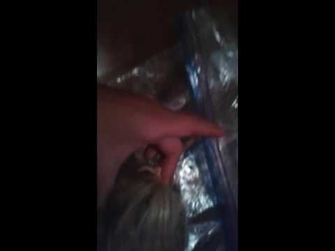 A pool party with my friends