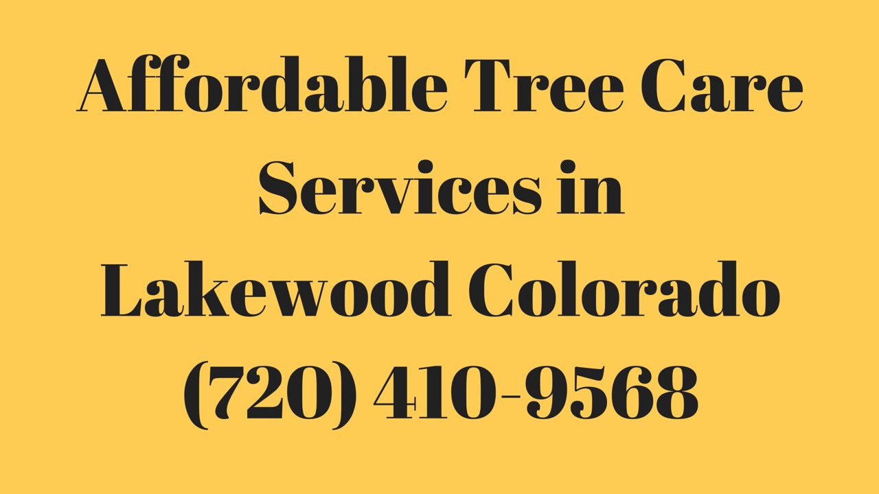 Lakewood Tree Care Services