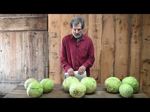 , title : 'Storage Cabbage Varieties | from Johnny's Selected Seeds'