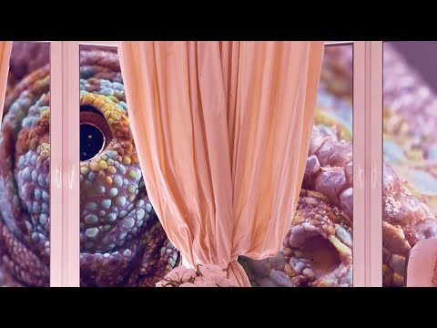 BombCatWombat - Talking Out Loud - YouTube