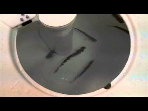 Moeller 50 Gal Bait Tank Striper Soup Filter and Dannco Venturi