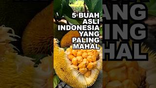 Download lagu 5 Buah Asli Indonesia Yang Paling Mahal mp3 Download lagu 5 Buah Asli Indonesia Yang Paling Mahal mp3