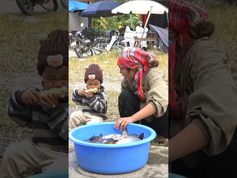 Amazing Fishing Skills: Catching Monster Catfish, River Pomfret & Carp by Hand for Market Sale