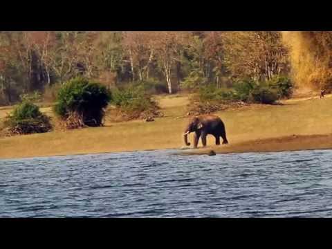 Kannada - The UNSUNG - Documentary on the life at Bhadra