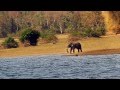 Kannada The UNSUNG Documentary On The Life At Bhadra