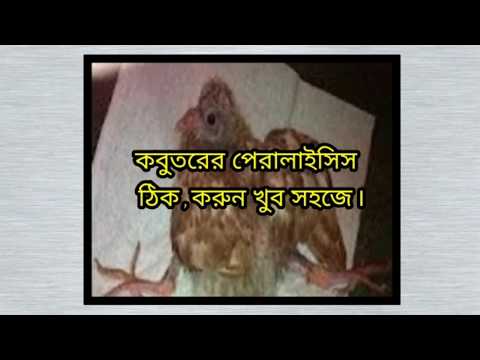 download lagu mp3 mp4 Beovit, download lagu Beovit gratis, unduh video klip Beovit