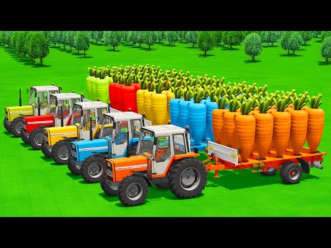 LOAD AND TRANSPORT GIANT CARROTS WITH LANDINI TRACTORS & FORKLIFTS - Farming Simulator 25