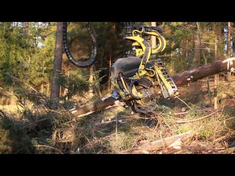 Forstservice Joksch - Harvestereinsatz