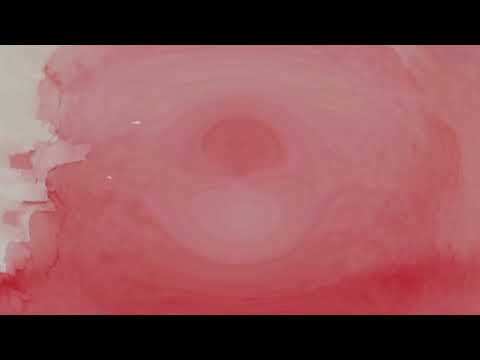 Grassskirt - Say You - s0896