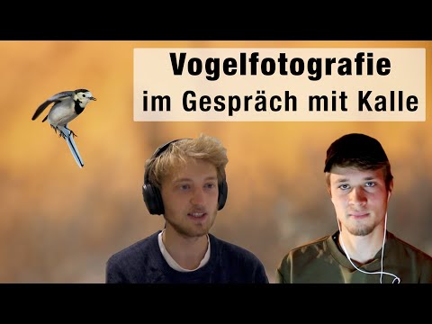 Gespräch über die Vogelfotografie - mit Kalle (Ornithologie für Anfänger)