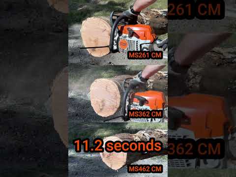 MS261 CM vs MS362 CM vs MS462 CM head to head to head cutting speed comparison #Shorts