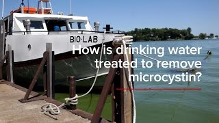 HABs FAQs: How is drinking water treated to remove microcystin?