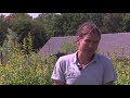 De bomen-nomade van Oosterwold in Almere helpt
