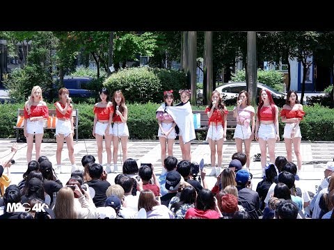 190622 우주소녀 WJSN ( 토크2 ) 음악중심 미니팬미팅 4K 직캠 Fancam