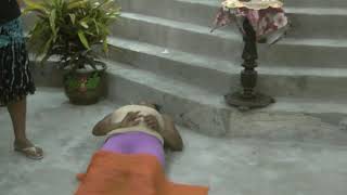 Download lagu columna2 mp3