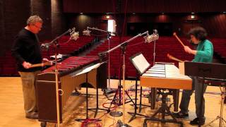 Bill Ryan • Red Tree, Yellow Sky (recording session excerpts)