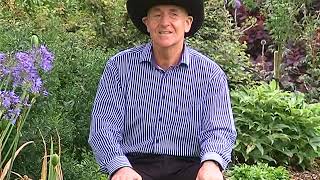 Margies at the Lincoln Park Inn by  Mexican Joe Walker