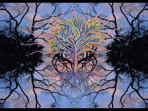 MamaShamana - "Дерево Боже"